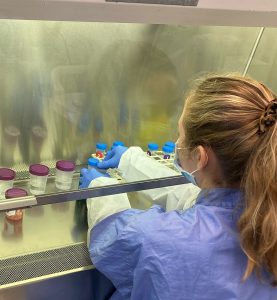 a VetStem laboratory technician processing stem cells.